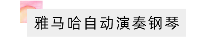 活动报道 | “科技助力，跨越时空”，小鹿纯子携手刘明康共享中日音乐盛宴